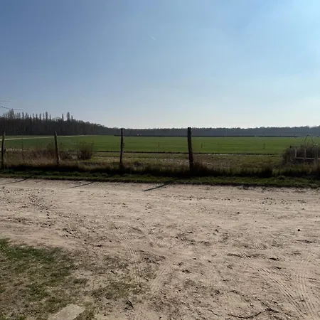 Dans Ecurie Avilly-Saint-Leonard