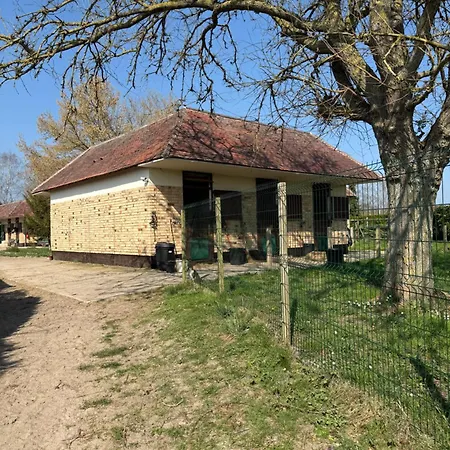 Dans Ecurie Avilly-Saint-Leonard