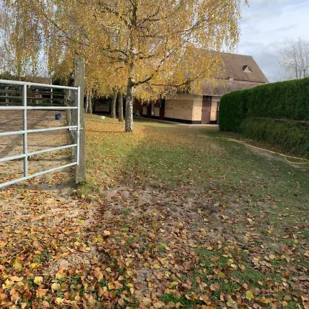 Dans Ecurie * Avilly-Saint-Leonard