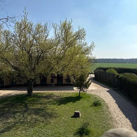 Dans Ecurie Avilly-Saint-Leonard