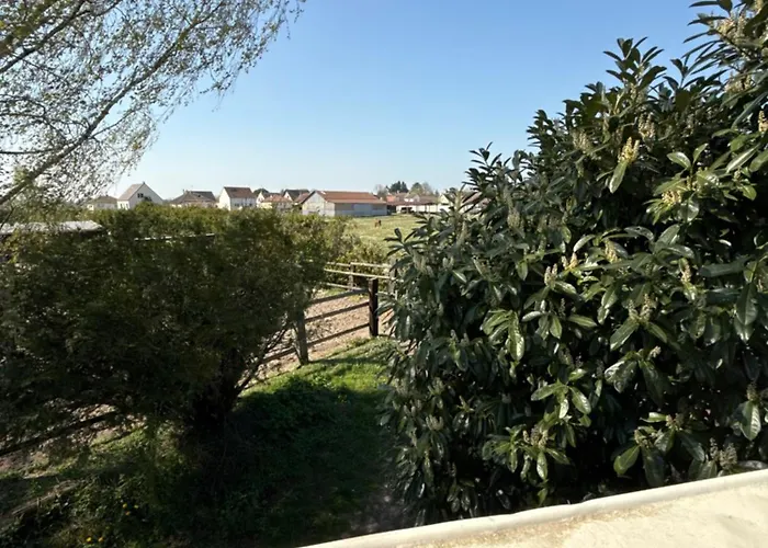 Guest house Dans Ecurie 3*