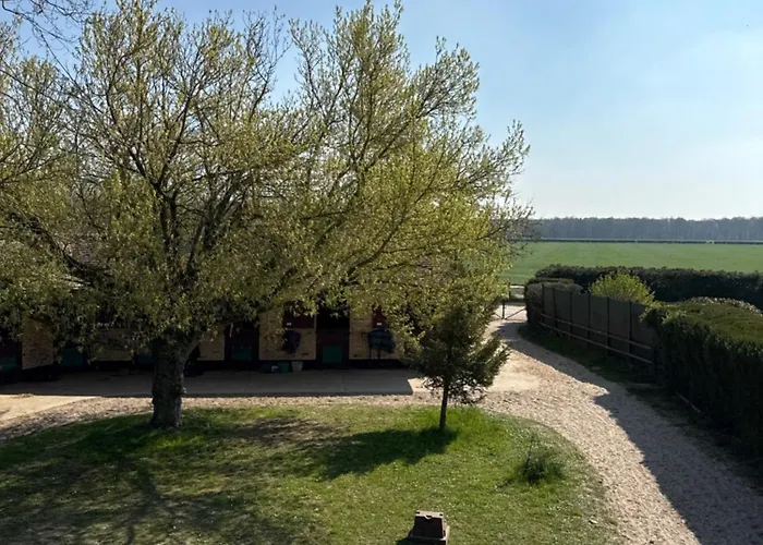 Dans Ecurie Avilly-Saint-Leonard